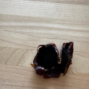 Tadım Hurma'da Hijyen Sorunu Ve Sağlık Riski