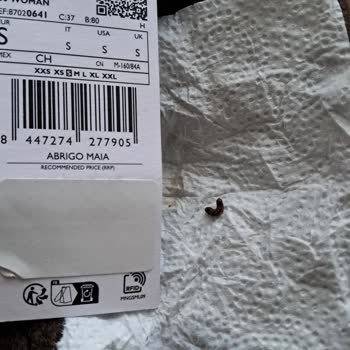 Mango'dan Gelen Gizemli Koku Ve Tırtıl Şoku