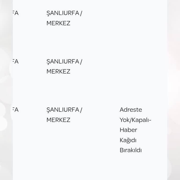 Kargom Neden Ulaşmıyor?