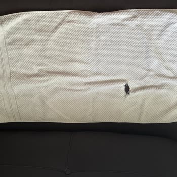 Bosch Çamaşır Makinesi Elbiseleri Yıpratıyor Ve Yırtıyor