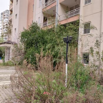 Boş Lojmanların Tehlikeli Durumu