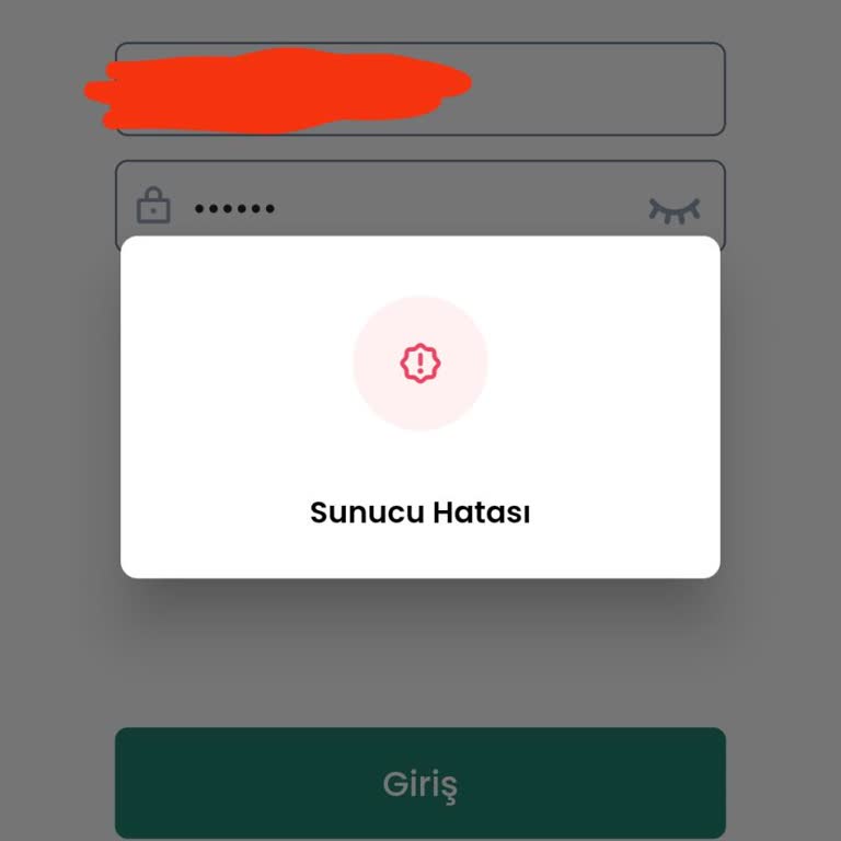Hesap Erişim Sorunu Ve Müşteri Hizmetleri Yetersizliği