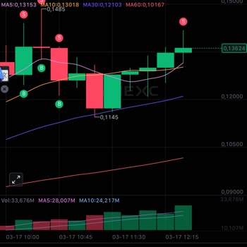 MEXC Liquidated My Position Unexpectedly—Funds Missing