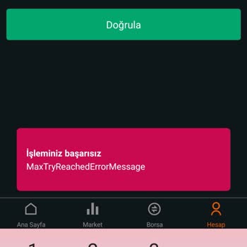 Bitci Hesabına Giriş Sorunu