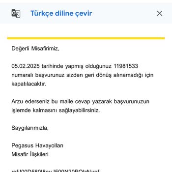 Pegasus İle Bavul Tazminatında Çıkmaz