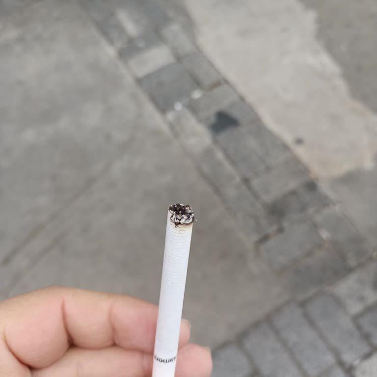 Parliament Night Blue'da Kalite Düşüşü: Eski Tadını Arayan Müşteri Şikayeti