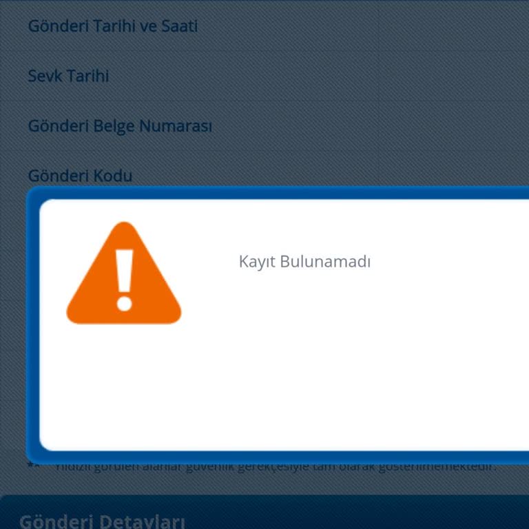 Kayıp Kargo Ve Ulaşılamayan Müşteri Hizmetleri Sorunu