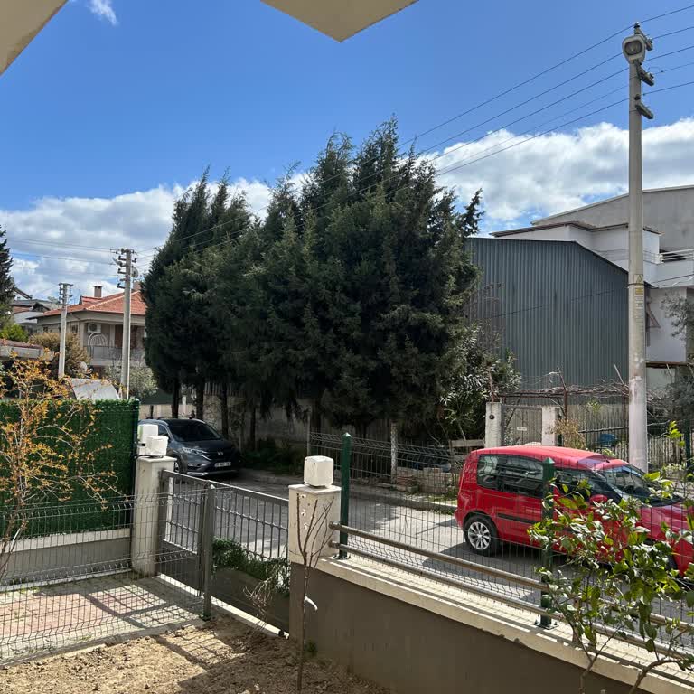 Elektrik Telleri Ve Çam Ağaçları Arasında Tehlike