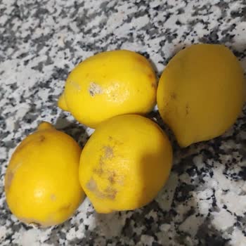 Trendyol Market Alışverişinde Hayal Kırıklığı: Yanlış Ürün, Çürük Limon Ve İade Sorunu
