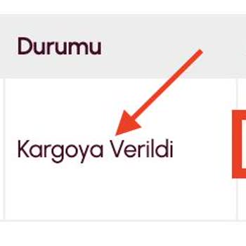 Kargo Gecikmesi Ve Yorum Engeli: Paranla Rezil Olmak