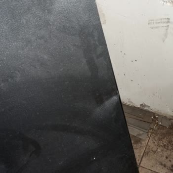 Kargo Paketinin Hasar Görmesi: İnsanlık Dışı Muamele