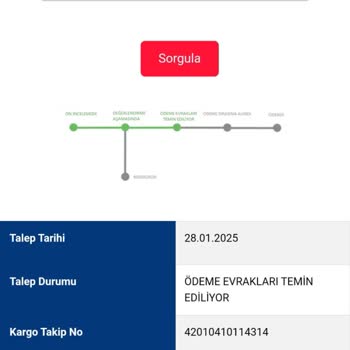 Kayıp Ürün Ve Yetersiz Tazmin Süreci: Sürat Kargo Mağduriyeti