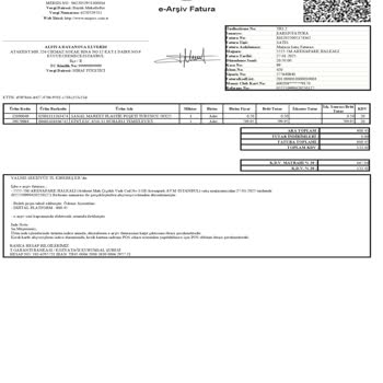İlk Kullanımda Arızalanan Buharlı Temizleyici Sorunu