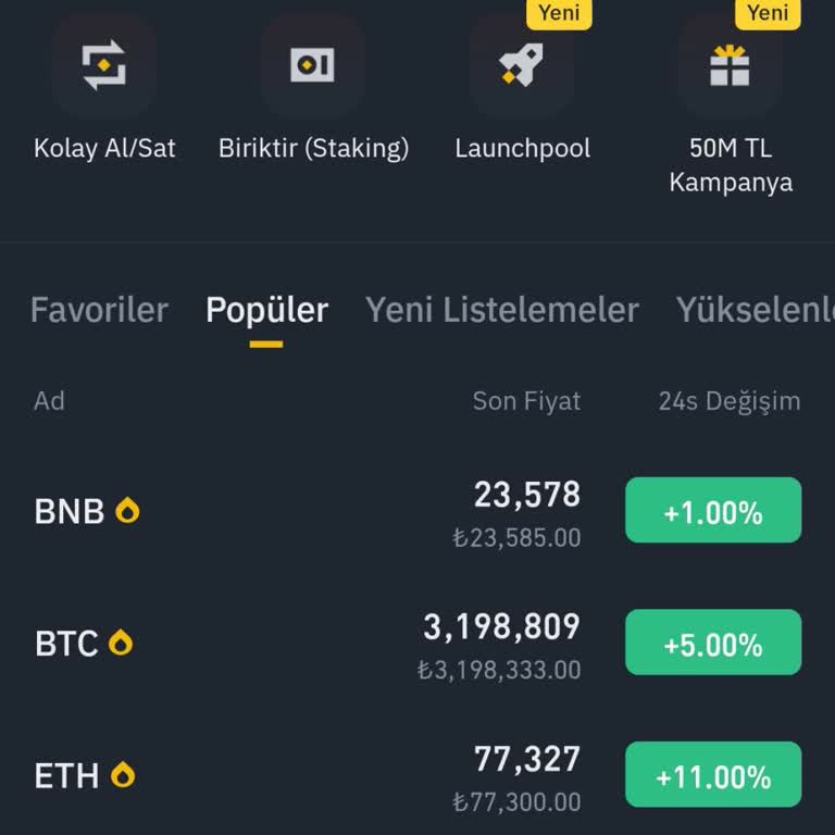 Binance TR'de Kayıp Yatırım Ve İletişim Sorunu