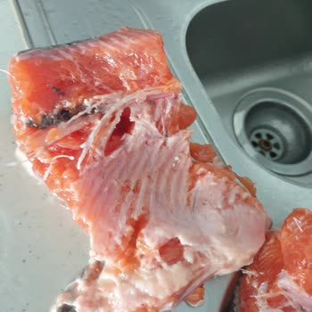 Bayat Balık Şoku: Migros'tan Aldığım Somon Taze Çıkmadı