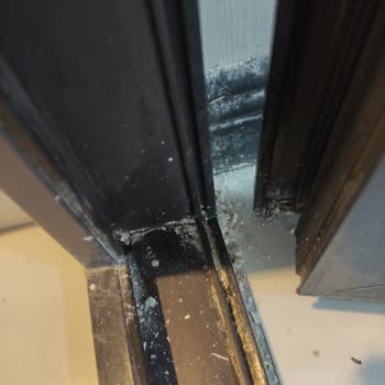 Emir Temizlik (Eskişehir) Detaylı Temizlikte Hayal Kırıklığı