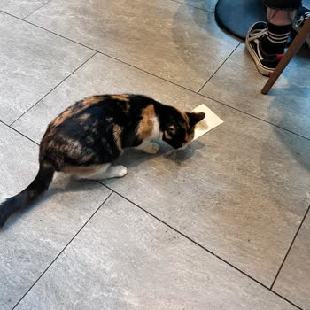 AVM'de Yemek Yerken Yaşanan Hijyen Sorunu