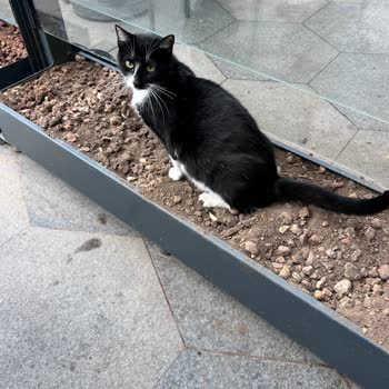 AVM'de Yemek Yerken Yaşanan Hijyen Sorunu