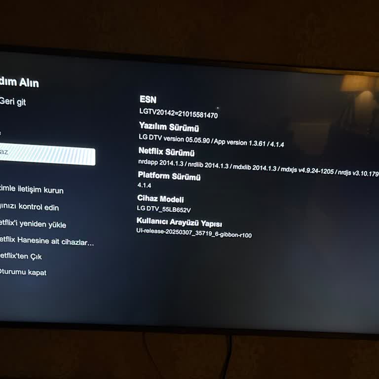 LG DTV_55LB652V TV Update Blocked Netflix Access