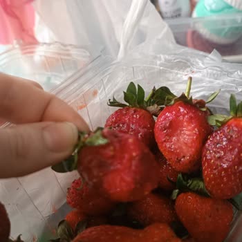 Bozuk Çilek Ve Yetersiz Müşteri Hizmetleri