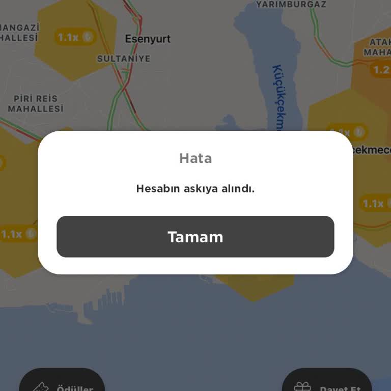 Martı Hesabım Askıya Alındı Çözüm Yok!