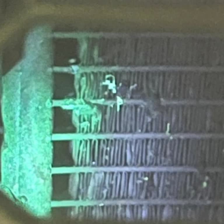 Skoda Octavia Klimasında Garanti Sorunu: Tasarım Hatası Mı?