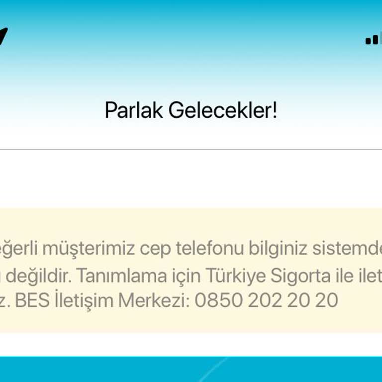 Kayıp Telefon Numarası Krizi