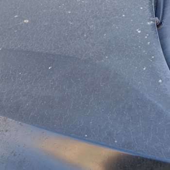 Ford Focus'ta Hayal Kırıklığı: Kaput Ve Navigasyon Sorunları