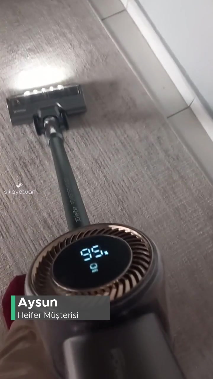 Heifer Dikey Süpürge Arızası videonun kapak resmi