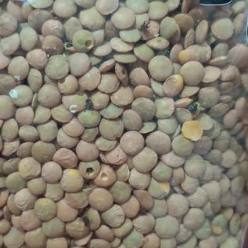 Bozuk Ürün Ve İade Sorunu: A101'de Hayal Kırıklığı