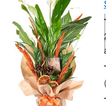 İş Tebriği İçin Gönderilen Solmuş Çiçeklerle Rezil Oldum