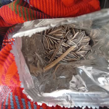 Ürün İçinden Tahta Parçaları Ve Boş Kabuklar Çıktı