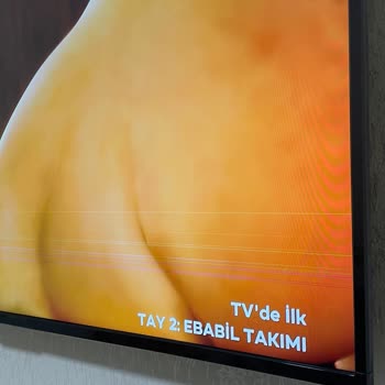 Onvo Televizyon: Hayal Kırıklığı Ve Destek Eksikliği
