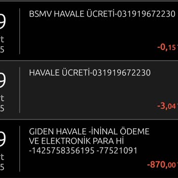 İninal Hesabına Aktarılan Para Kayboldu