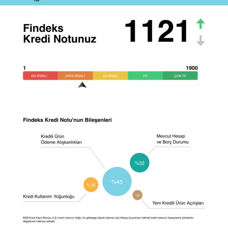 Findeks Risk Raporu Skor Hatası