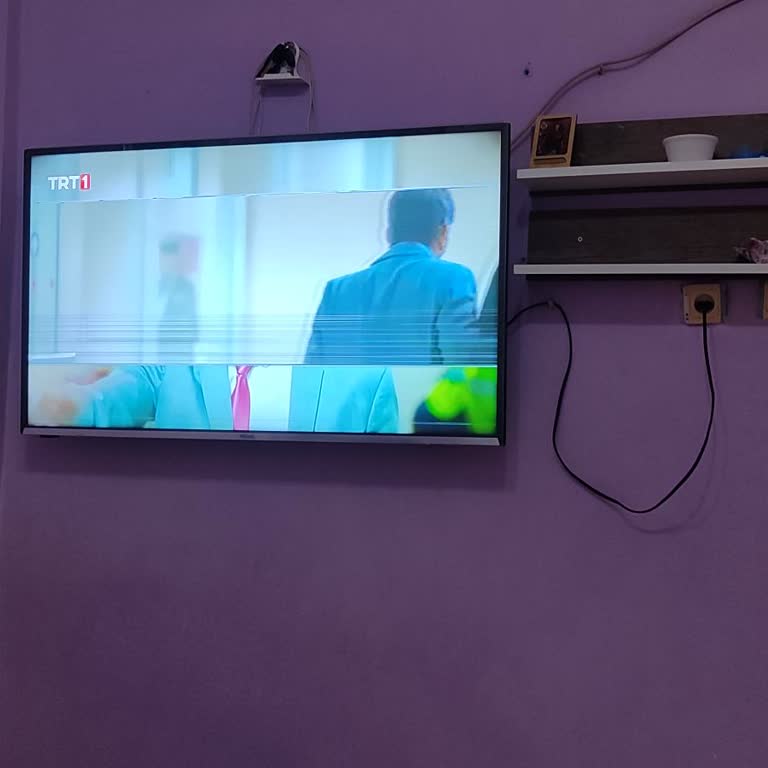 Vestel TV'de Garanti Sonrası Ekran Sorunu