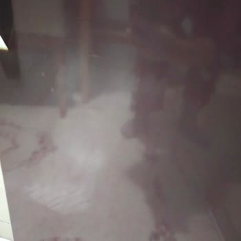 Buharlı Temizleyici Mutfak Dolaplarımı Mahvetti