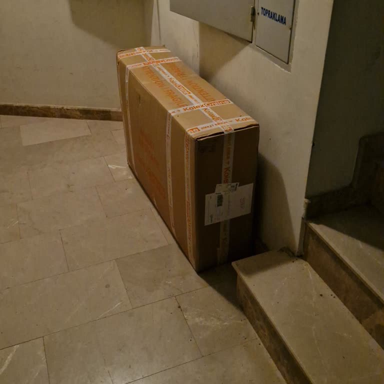 Horoz Lojistik Teslimat Sorunu: Ürün Apartman Girişine Bırakıldı