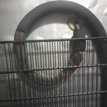 Altus Derin Dondurucuda Tasarım Hatası Ve Küf Sorunu