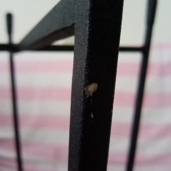 Enza Home'dan Gelen Hayal Kırıklığı: Çatlak Ve Uyuşmayan Sehpa Sorunu