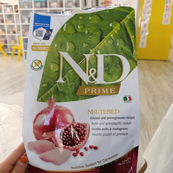 Sahte Kedi Maması Skandalı