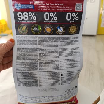 Sahte Kedi Maması Skandalı