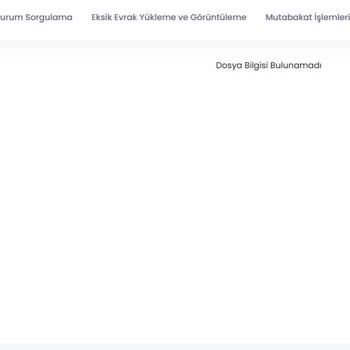Sigorta Şirketinin Bilgi Erişim Sorunları