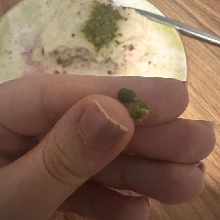 Fıstıklı Tatlı Yerine Bezelye Şoku