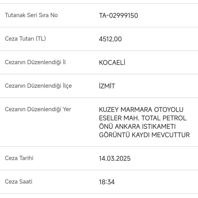 Trafik Cezası Ödeme Sorunu: E-Devlet Ve Bankalarda Çözüm Yok