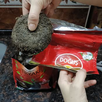 Doğuş Çay Ürünü İçinden Çıkan Garip Şey