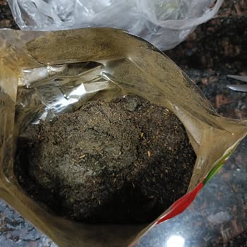 Doğuş Çay Ürünü İçinden Çıkan Garip Şey