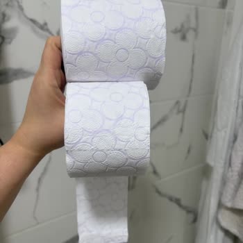 Kalitesi Düşen Tuvalet Kağıdı Deneyimi