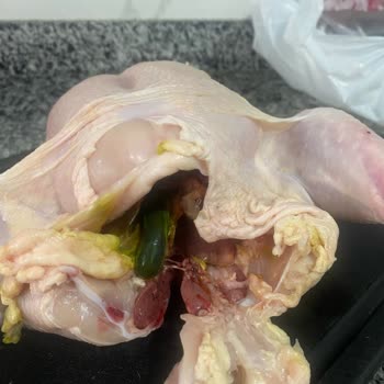 Tavuk Ürününde Şok Edici Buluntu