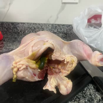 Tavuk Ürününde Şok Edici Buluntu